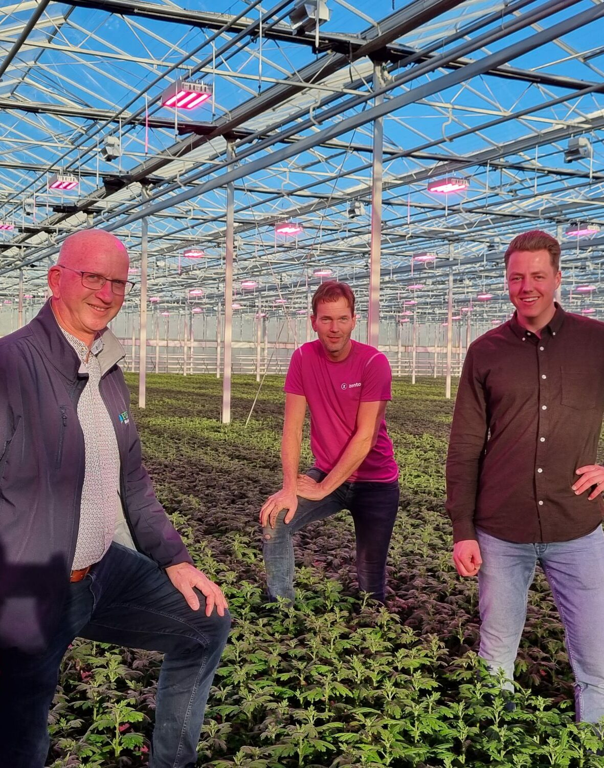 Willem, Arjan, Sander